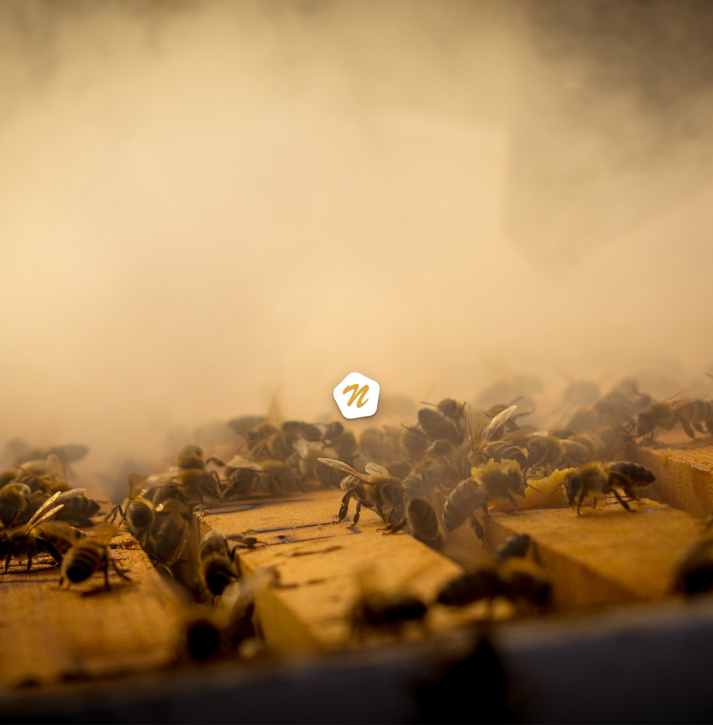 Βιολογικό μέλι